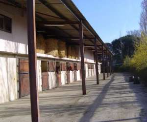 Centre Equestre Bel Air