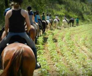 Salles Sud quitation - Poney-club