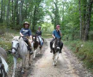 photo Cheval rando Creysse 5075