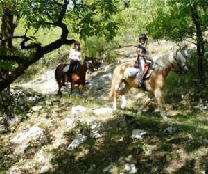 photo Cheval rando Creysse 5077