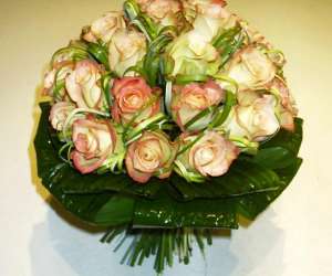 photo Les plus belles fleurs Vic En Bigorre 2478