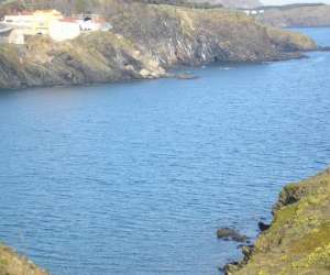 photo Les fondus du fond La Salvetat St Gilles 2484