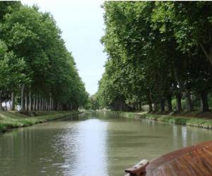 Canal Du Midi