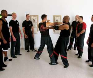 photo Progressive wing tsun system Montauban 5462