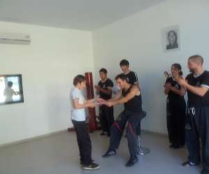 Progressive Wing Tsun System