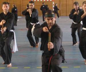 photo Viet vo dao - self defense Graulhet 6813