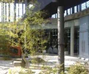 Mediatheque Municipale De Mazamet Mediatheque Municipale De Mazamet