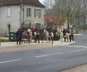 Ferme questre Cheval Rando