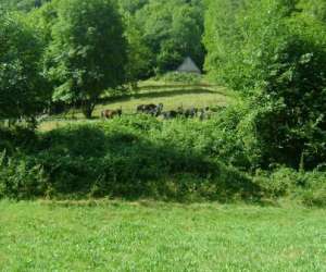 photo Centre equestre Aulus Les Bains 6639
