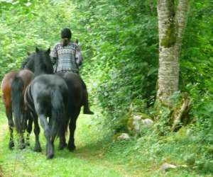 photo Centre equestre Aulus Les Bains 6642