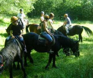 photo Centre equestre Aulus Les Bains 6643