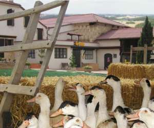 Ferme De La Gouardere