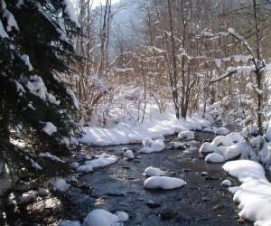 Pisciculture De Montferrier