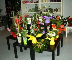 photo Mille et une fleurs maitre artisan fleuriste Souillac 3505
