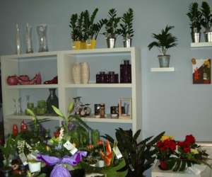 photo Mille et une fleurs maitre artisan fleuriste Souillac 3506
