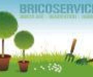 Bricoservices