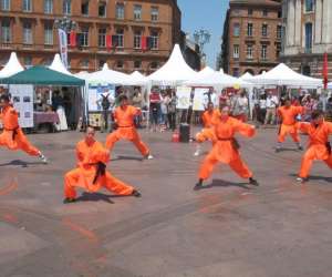 photo Shaolinsikungfuwushuquan Toulouse 6711