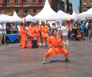 photo Shaolinsikungfuwushuquan Toulouse 6712