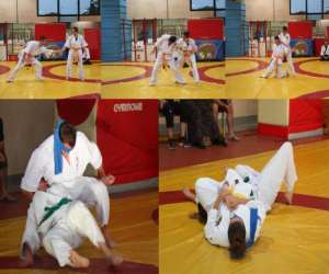 photo Ki shin ta jutsu Negrepelisse 8673