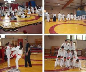 photo Ki shin ta jutsu Negrepelisse 8674