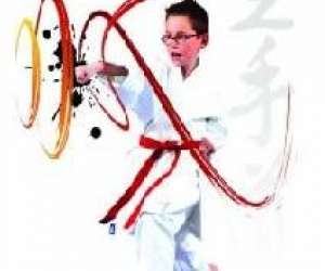 photo Budo shotokan karate club Condom 4245