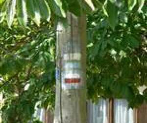 photo Domaine salinie Montcabrier 5960