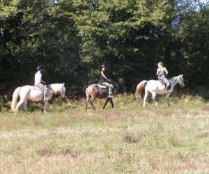 Ferme Equestre De Castagne