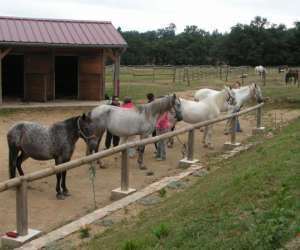 photo Ferme equestre de castagne Pont De Larn 6358