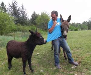 Yoga Pour Tous