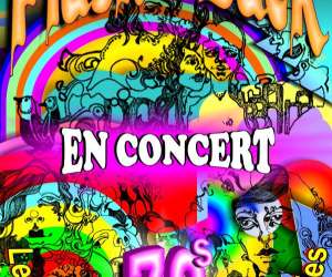 Groupe flash back années 70 Groupe flash back années 70