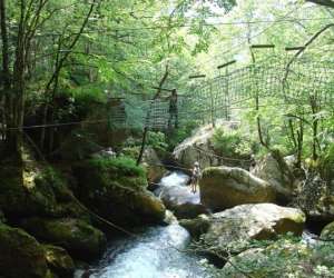 photo Akrobranch d'orlu Ax Les Thermes 7332