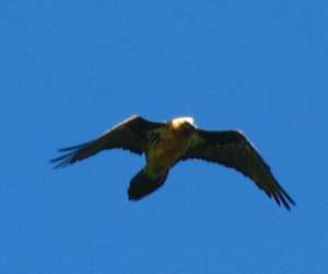 photo Simon cayre - randonnee en montagne Soulan 5637