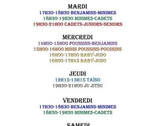 photo Stadoceste tarbais arts martiaux judo Tarbes 6410