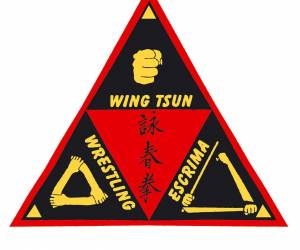 Progressive Wing Tsun System