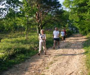 Marche Nordique Avec "circuits Nature"