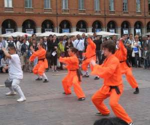 photo Ecole shaolin kung fu shi miaofeng Montauban 6738
