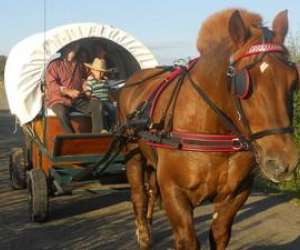 Chariots Western Du Bibal