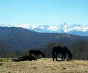 Ferme Equestre La Souleille