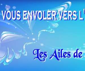 Les Ailes De L