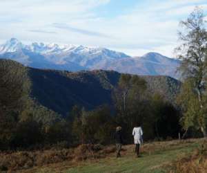 photo Terres pyrnennes  Biert 8229