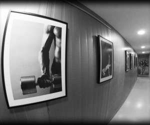 photo Complexe de l'orangeraie  - badminton Toulouse 8526