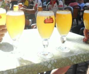 photo Snack bar le miredames castres Castres 8535
