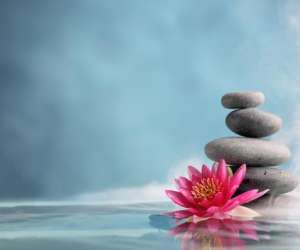 photo Salon-massage toulouse -  accord bien-tre Toulouse 8747