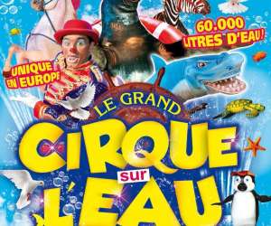 Cirque Sur L'eau - Arena Production Cirque Sur L'eau - Arena Production