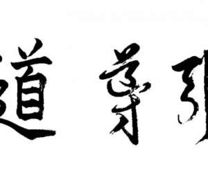 photo Wing chun - wing tsun / qi gong / yoga / jkd / kali Albias 9464