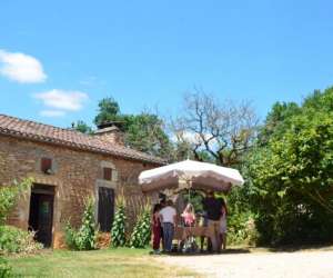 photo Lot on tours Puy L Eveque 9275