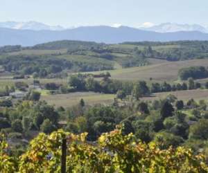 Dominik Benz - Crateur De Vin