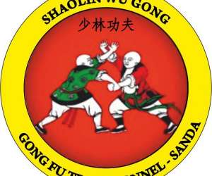 Shaolin Wu Gong 