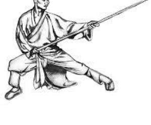 photo Shaolin wu gong  Tarbes 9710