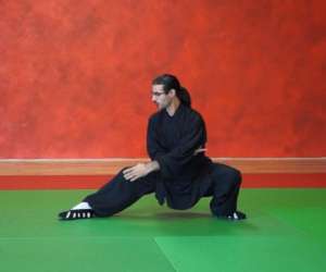 Wushu-aikido Tarn